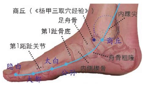 這個穴不能用了|隱白、太白、商丘、漏谷、血海，脾經上治療疾病的11個重要穴位